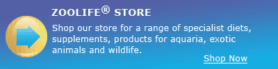 ZOOLIFE Store